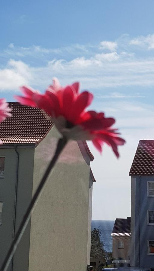 Apartment Deichkrone 사스니츠 외부 사진